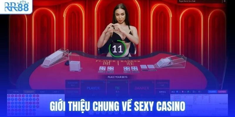 Giới thiệu chung về Sexy Casino
